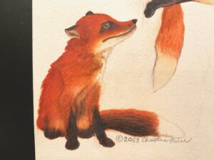 drawing of a fox looking up and to the right, unimpressed