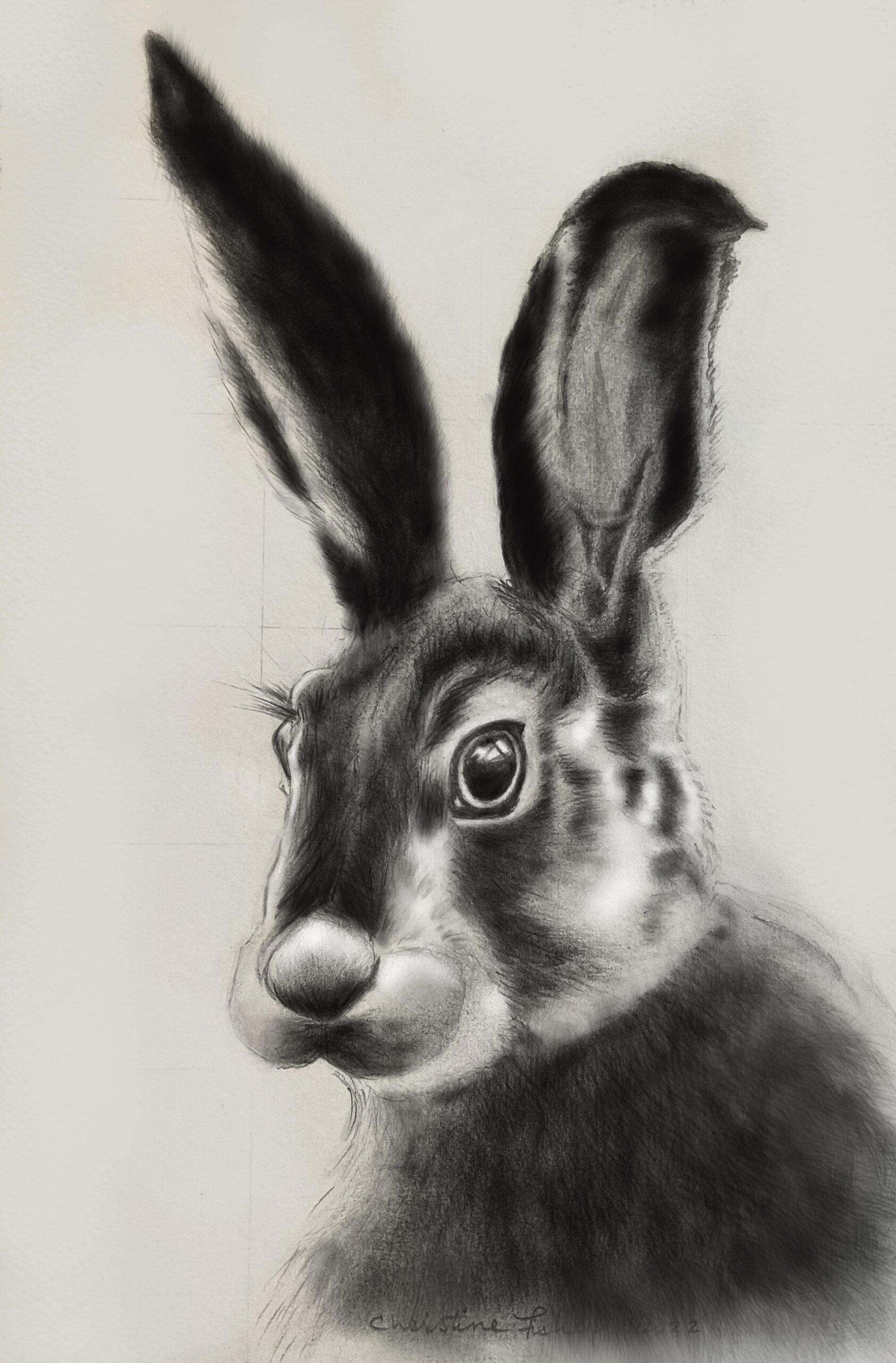 Digital overpainting of graphite drawing of a rabbit
